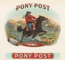 Pony Post | Obraz na stenu