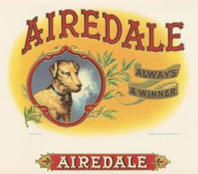 Airedale | Obraz na stenu