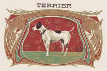 Terrier | Obraz na stenu