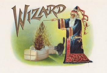 Wizard | Obraz na stenu