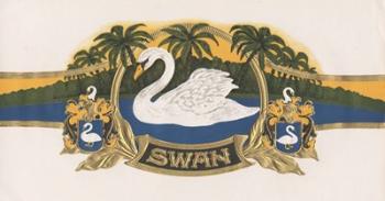 Swan | Obraz na stenu