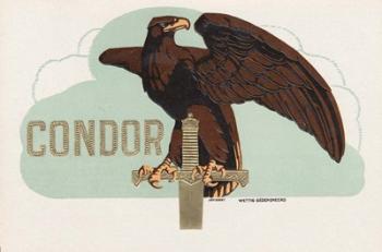 Condor | Obraz na stenu