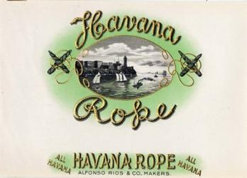 Havana Rope | Obraz na stenu