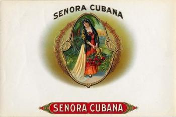 Senora Cubana | Obraz na stenu