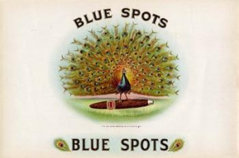Blue Spots | Obraz na stenu