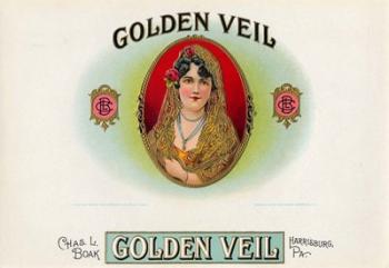 Golden Veil | Obraz na stenu