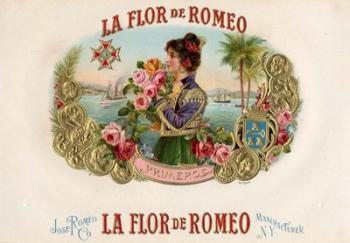 La Flor De Romeo | Obraz na stenu