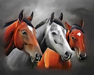 Horses Portrait | Obraz na stenu
