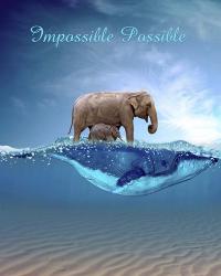 Impossible Possible | Obraz na stenu