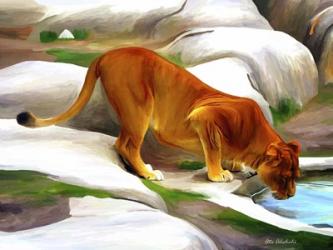 Lioness | Obraz na stenu
