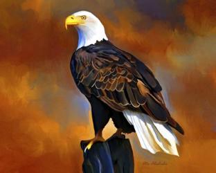 The Eagle | Obraz na stenu