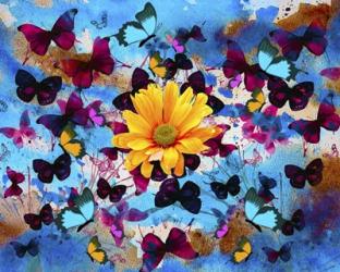 Daisy And Butterflies | Obraz na stenu