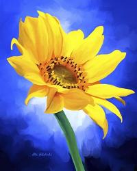 Sun Flower | Obraz na stenu