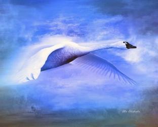 Swan Fly | Obraz na stenu