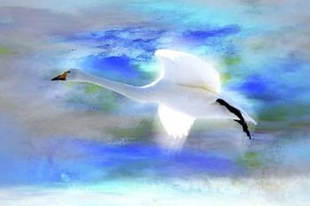 White Swan Fly | Obraz na stenu