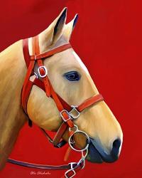 Horse Portrait | Obraz na stenu