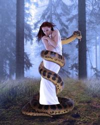 Snake And Lady In White | Obraz na stenu
