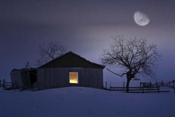 Winter Night | Obraz na stenu