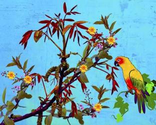 Parrot in Garden 2 | Obraz na stenu