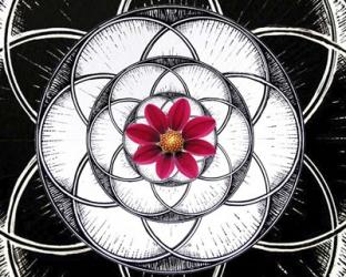 Geometry Flower | Obraz na stenu