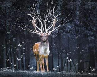 Magical Deer | Obraz na stenu