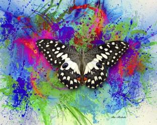 Color and Butterfly 2 | Obraz na stenu