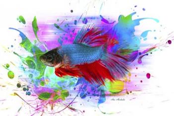 Fish and colors | Obraz na stenu