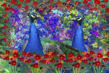 Peacock 1 | Obraz na stenu
