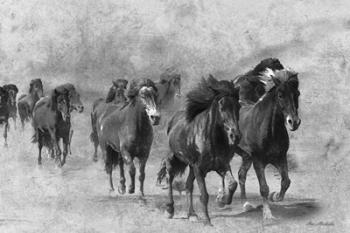 Wild Horses 2 | Obraz na stenu