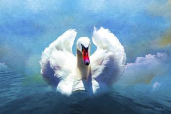 Beautiful Swan | Obraz na stenu