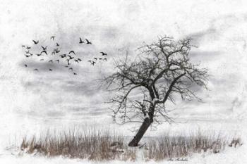 Dead Winter Tree 2 | Obraz na stenu