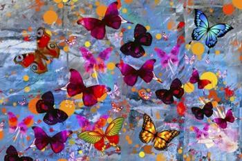 Butterflies Season | Obraz na stenu