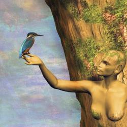 Tree And Bird | Obraz na stenu