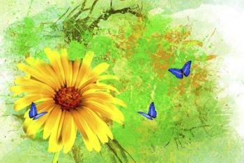 Yellow Flower And Butterflies | Obraz na stenu