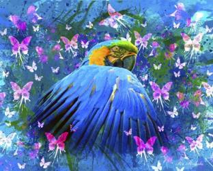 Bird In Color | Obraz na stenu