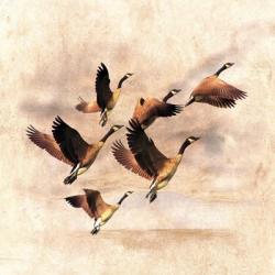 Birds Fly Away 1 | Obraz na stenu