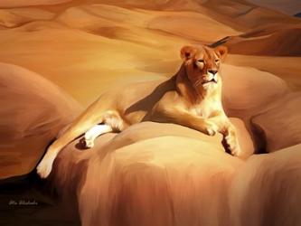 Lioness On A Rock 2 | Obraz na stenu