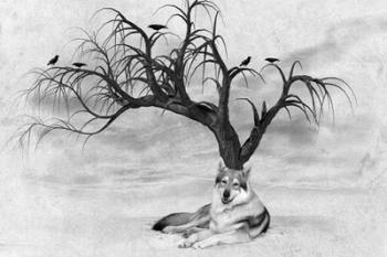 Lone Wolf And Tree | Obraz na stenu