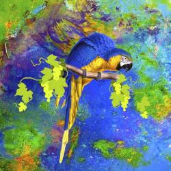Parrot And Colors | Obraz na stenu