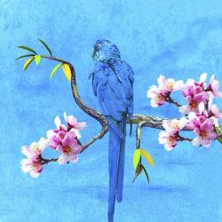 Spring Bird And Flower | Obraz na stenu