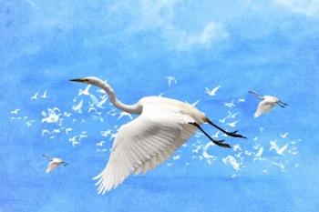 White Birds And Blue Sky | Obraz na stenu