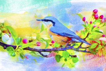 Spring Flowers And Bird 6 | Obraz na stenu
