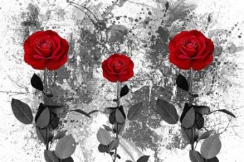 Red Roses | Obraz na stenu