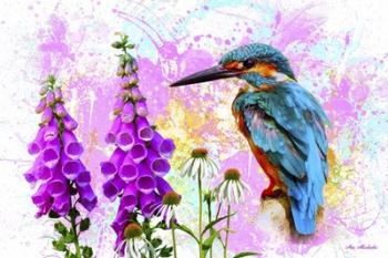 Bird Collection 40SEP2 | Obraz na stenu