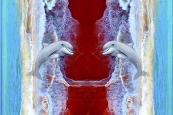 Twin Dolphin | Obraz na stenu
