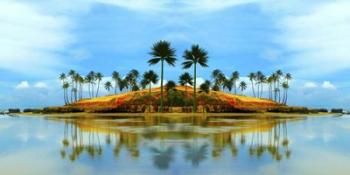 Palm Retreat | Obraz na stenu