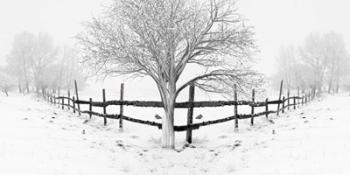 Snowy Landscape | Obraz na stenu