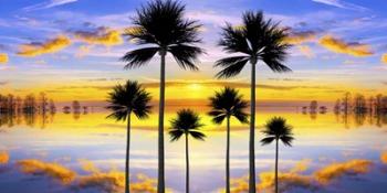 Sunset Palms | Obraz na stenu