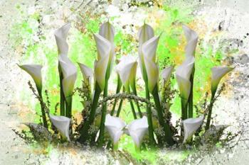White Splendor | Obraz na stenu