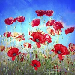 Poppy Flowers Field | Obraz na stenu